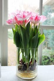 Fruhlingsblumen Im Haus Oder Im Garten Bringen Mehr Lebensfreude Pflanzen Fruhling Blumen Pflanzideen