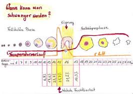 Wann Kann Man Schwanger Werden 3 Tipps Fur Das Perfekte Timing