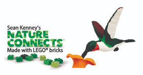 Bricks & Brews: Adult Fans of LEGO® Night