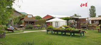 Riefel refuge for migratory birds is. Whats On The Farm Westham Island Herb Farm
