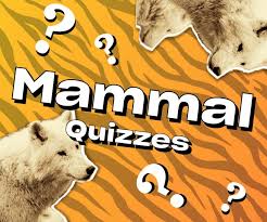 May 25, 2021 · playing a trivia game or organizing a trivia quiz with friends or family is a great way to get people together for a fun night. Animals And Nature Quizzes Trivia Games Big Daily Trivia