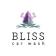 Bliss Car Wash logo