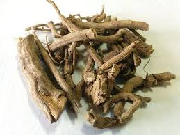 Image result for Mondia ecornuta