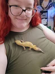 What is my leopard gecko's morph and gender?