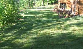 Lawn care minneapolis welcomes all scotts lawn care service customers to upgrade to the premium lawncare service we can provide for you you have worked with scotts lawn care and trugreen lawn service (formerly known as chemlawn) it is time to go for the a healthy greener lawn care company. View Our Galleries Go Green Lawn Care Mn