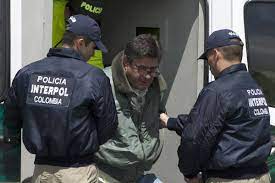 Check spelling or type a new query. What Do Interpol Agents Really Do