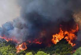 Check spelling or type a new query. 6fq2siz7aifzkm