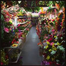 Every day looks better with flowers from quincy flowers! Dong Xuan Center Herzbergstrasse Herzbergstr 128 139