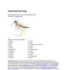 Burung Gambar Kerangka Hewan Vertebrata Doc Materi Kuliah F Pertanian Uniska Academia Edu Apa Itu Burung Sebenarnya Kliknclean Hewan Vert Burung Hewan Gambar