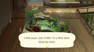 His birthday is on june 9th. All New And Leaving Fish And Bugs In June In Animal Crossing New Horizons Articles Pocket Gamer