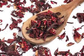 Tea, cooking, coctail garnishes, craft. Dried Hibiscus Flower In White Background Stock Photo Picture And Royalty Free Image Image 62281512