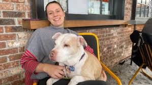 Life is always better with your best friend, we make it easy to adventure we have a list of animal adoption and rescue agencies in palm beach county. Florida Animal Shelter Celebrates Emptying A Kennel For The First Time Ever Cnn