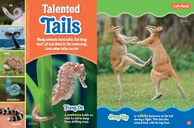 Meanwhile, the creatures which the tail did not need (the people), they lost it during evolution. Talented Tails Nwf Ranger Rick