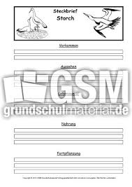 Druckvorlage storch vorlage zum ausschneiden. Steckbriefvorlage Storch Steckbrief Sw Steckbriefvorlagen Vogel Tiere Sachthemen Hus Klasse 3 Grundschulmaterial De
