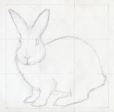 Maybe you would like to learn more about one of these? Grid Drawing Contour Lines Only
