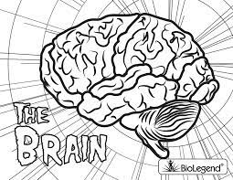 Teach your child about this mysterious organ and its parts with this coloring sheet. Coloring