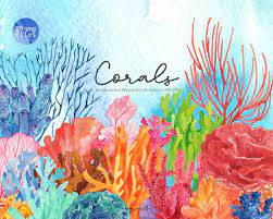 570 x 825 jpeg 101 кб. Watercolor Coral Reef Clipart Under The Sea Clipart Coral Etsy Watercolor Coral Reef Coral Watercolor Coral Drawing