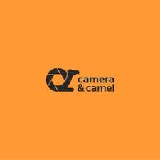 Show off your brand's personality with a custom camel logo designed just for you by a professional designer. 50 Camels Logo Ideas Logos Camels Logo Design