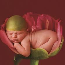 Beautiful elderly woman smelling flower. 101 Anne Geddes Baby Pictures Just Because Sittercity