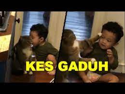 Bujibu juga sering memperlihatkan wajahnya yang sombong dan bongkak menjadi pesona semula jadi kucing itu. Bujibu Jilat Rambut Yusuf Iskandar Youtube