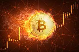Customers can start buying and selling cryptocurrency at $50 and the platform operates in over 60 international locations and in the us it is a nice platform for people who're new to cryptocurrency buying and selling and wish to be taught from extra skilled merchants or anybody who desires extra. Bitcoin Mining Leads To An Unexpected Gpu Gold Rush Computerworld