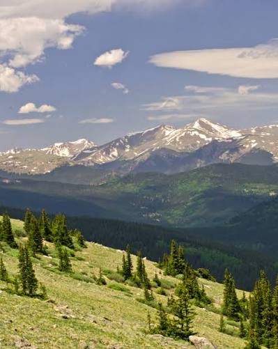 The Continental Divide Trail follows the hydrologic divide - the high line  where water begins flowing toward opposite sides of the continent. But the  CDT is rarely one single line on a