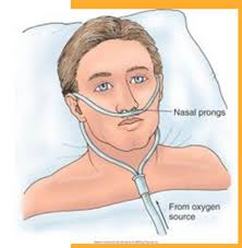 FOUNDATIONS Chapter 38 Oxygenation and Perfusion Flashcards