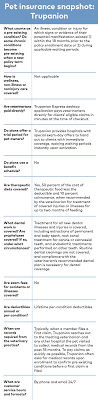 Pet Insurance Comparison Chart