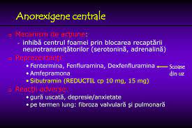 Side effects, drug interactions, dosage, and preagnancy information is also included in the information. Medicatia Metabolica Ppt Download