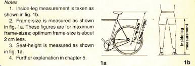 bike 101 how to find the right size bike simply bike