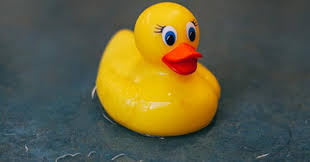 The hot water and soap in the dishwasher will help sanitize and clean toys. How To Clean Bath Toys Keep Mold Out Practically Spotless