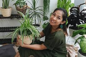 Syarat tumbuh tanaman mangga dalam pot. 9 Cara Merawat Tanaman Hias Bikin Tanaman Tumbuh Subur Theasianparent Indonesia