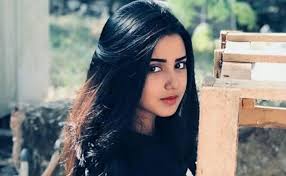 New york had the highest population of walia families in 1880. Roshni Walia Biography Height Life Story Super Stars Bio