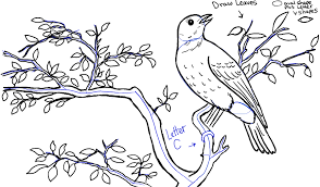 Bird On Branch Drawing Simple How To Draw A Bird In A Tree In Front Of Rolling Hills Landscape Drawing Tutorial Landscape Drawing Tutorial Bird Drawings Landscape Drawings