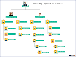 Marketing Organization Structure Is Made Up Of A Group Of