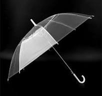 Clear Transparent Umbrella - Buy Umbrellas Online