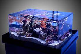 Maybe you would like to learn more about one of these? Acrylic Aquarium Tank Cheap Buy Online