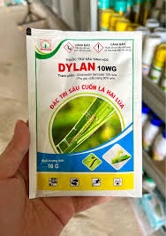 Dylan 10WG