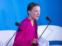 Greta Thunberg: un'ignorante seguita da milioni di ignoranti come lei,  mentre i furbi, servendosi di loro, finanziano la distrazione di massa  con argomenti senza fondamento sul clima per nascondere i loro crimini 