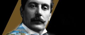 Mara Stephens (Actor): Credits, Bio, News & More