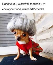 Maybe you would like to learn more about one of these? Funny Meme Profile Pictures For Instagram Novocom Top