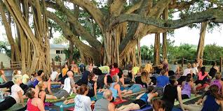 Our goal is to provide a safe space to breathe, heal, and be in the moment with lighthouse yoga. Twilight Yoga At The Jupiter Inlet Lighthouse Jupiter Fl