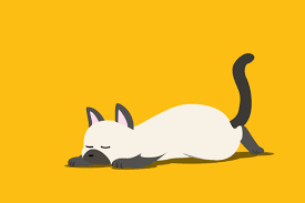 Namun, tak semua kucing berhasil dilatih seperti itu. Jangan Panik Ini Cara Mengatasi Kucing Yang Sering Muntah