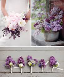 images?q=tbn%3AANd9GcSzrPBWdgvElTse8Rqms