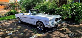 Image result for Wimbledon White 1965 Mustang