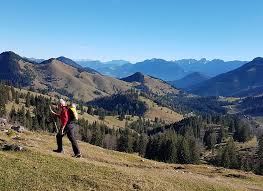 We did not find results for: Seewandkopfl Bergtour Sudelfeld Wildalpjoch Tourentipp Com
