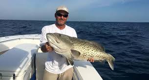 Saltwater trolling motors with gps. Offshore Saltwater Advantages Of Long Shaft Trolling Motors Minn Kota Motors