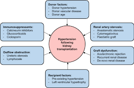 Carolinas healthcare system renal services. Management Of Hypertension In Chronic Kidney Disease Springerlink