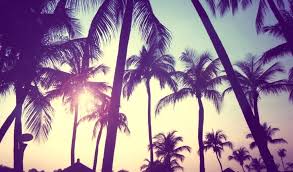 Find the best hd cute wallpapers for your desktop, windows screensavers, mac, iphone smartphones or android device. Cute Wallpapers For Tablets Pretty Group Hd Wallpaper Pretty Pictures Of Palm Trees 1024x600 Wallpaper Teahub Io
