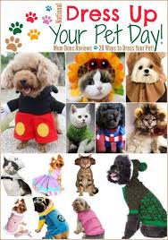 Happy National Dress Up Your Pet Day Pet Day Your Pet Funny Dog Clothes
